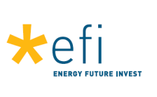 EFI logo